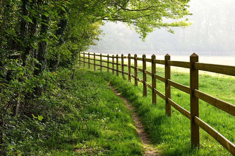 Pellenberg, Belgium by Jarne Buttiens