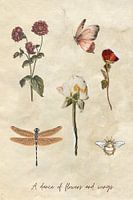 A Dance of Flowers and Wings - Dried Flowers and Insects in Beige Shades