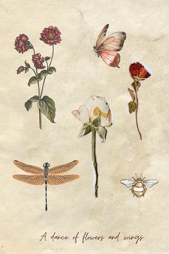 Une danse de fleurs et d'ailes - Fleurs et insectes séchés dans les tons beiges