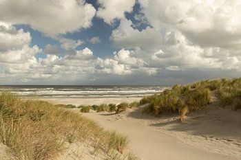 strand, zee en duinen van Ameland