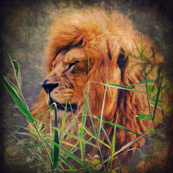 A Lion Portrait van AD DESIGN Photo & PhotoArt