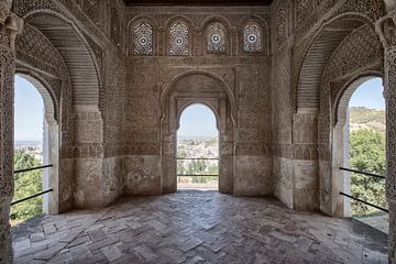 Granada -Alhambra by Dries van Assen