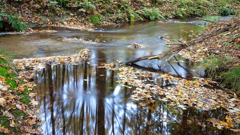 Waldbach mit fließendem Wasser von Fotografiecor .nl