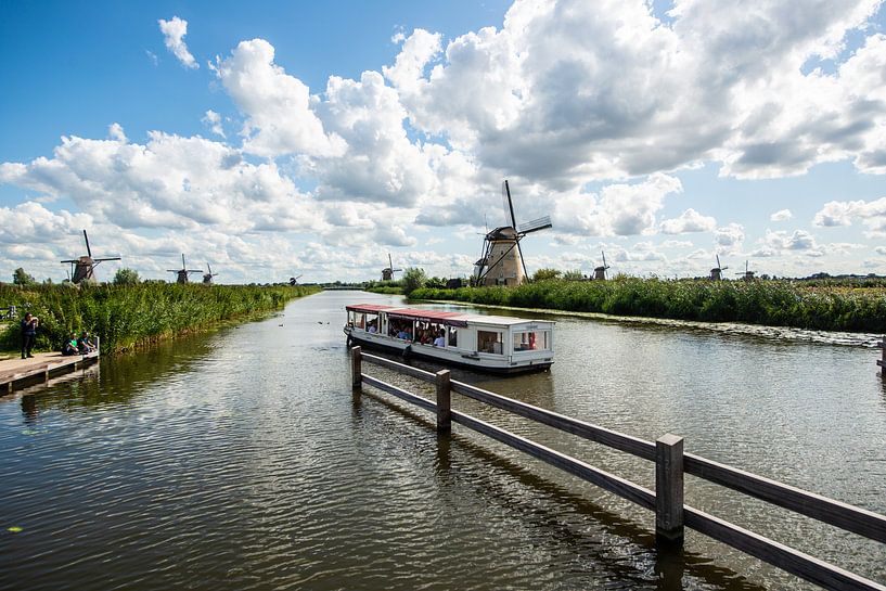 Kinderdijk Holland van Brian Morgan