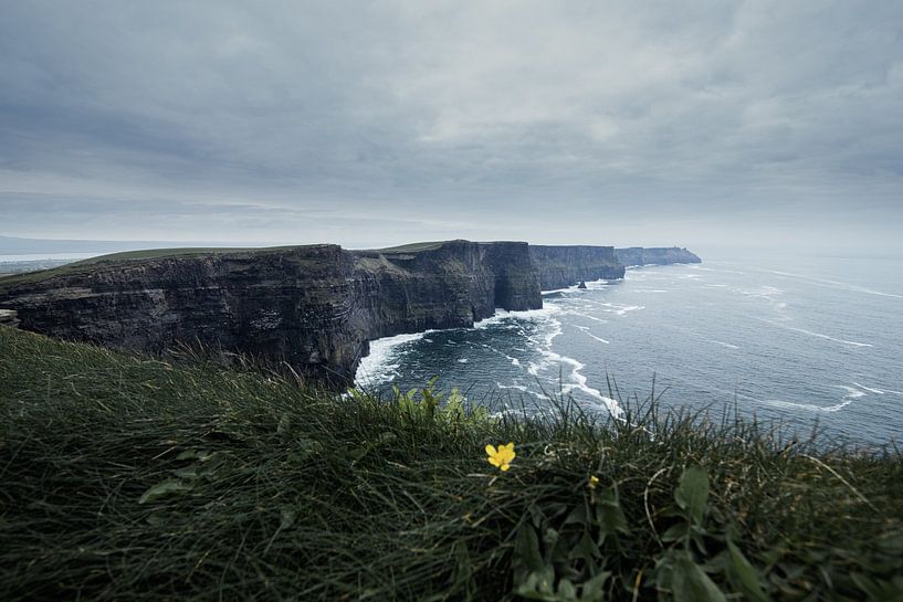 Falaises de Moher par Monique de Koning