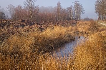 Nationaal park de Groote Peel van Rob Boon