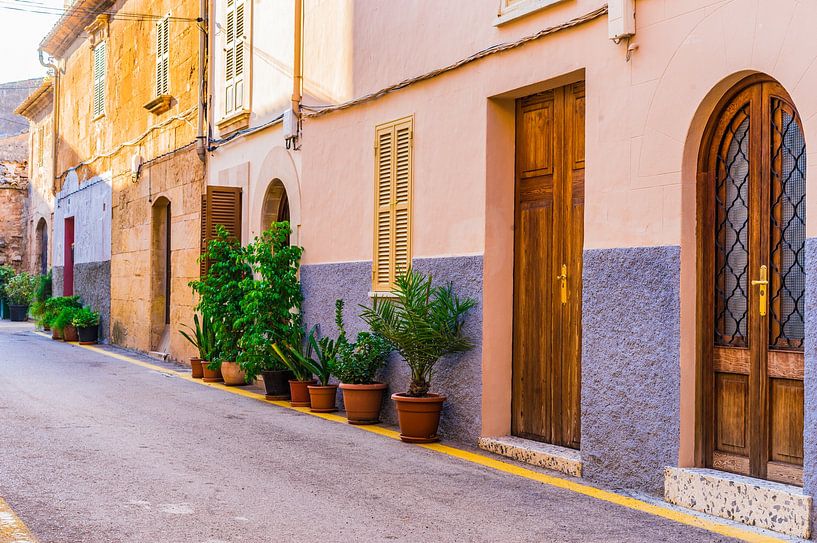 Street in the historic city center of Alcudia on Majorca island, Spain by Alex Winter