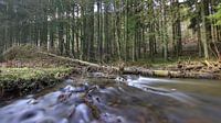stream