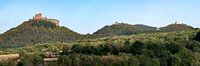 Trifels Panorama
