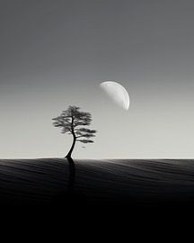 Aesthetic minimalism