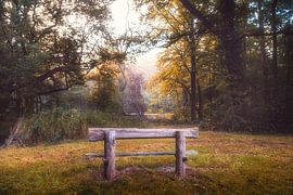 Breda Liesbos bankje  in de mist