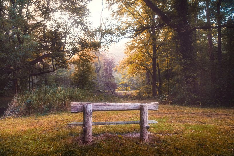 Banc de Breda Liesbos dans le brouillard par Egon Zitter