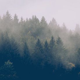 Forêt d'automne dans le brouillard sur Joseph Selier