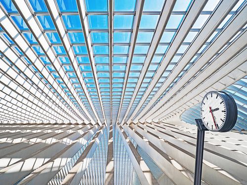 Liege station by the architect Santiago Calatrava