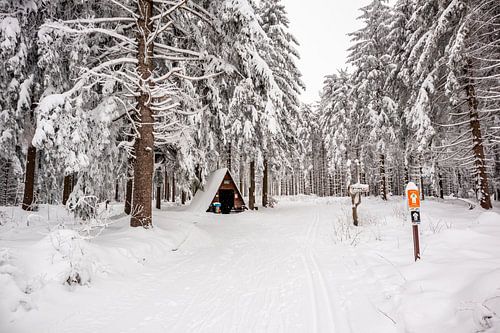 Petite randonnée hivernale dans la forêt enneigée de Thuringe près de Floh-Seligenthal - Thuringe - Allemagne