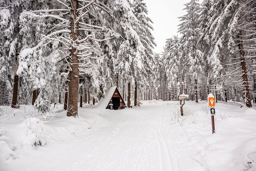 Petite randonnée hivernale dans la forêt enneigée de Thuringe près de Floh-Seligenthal - Thuringe - Allemagne par Oliver Hlavaty