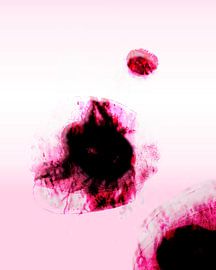 Japandi Zen Magenta Japan Skandinavien Abstrakt von Mad Dog Art