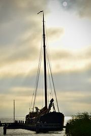 Flatboats in zeeland by Jan Radstake