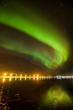 Nordlicht in den Westfjorden von Danny Slijfer Natuurfotografie