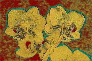 Orchidée