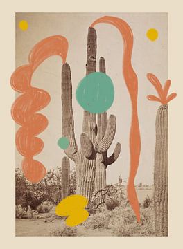 Collage kunst print met vintage analoge foto van een cactus van Renske