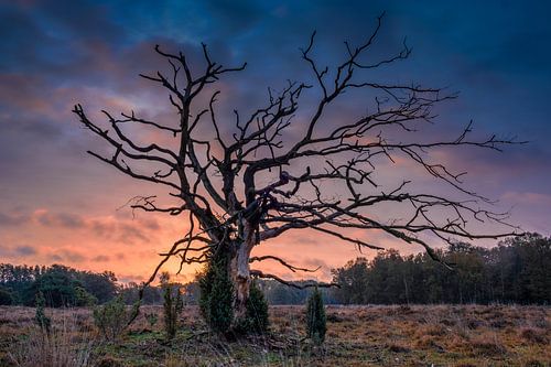 Sunrise Quartier de sable