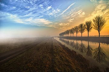 Le Beemster dans la brume