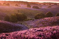 Sunrise Posbank