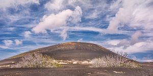 Landschap van La Geria op Lanzarote met vijgebomen op de voorgrond en de typisch vulkaankleur van de