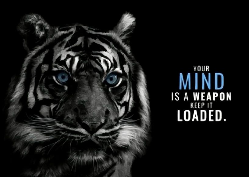 Tijger Diermotivatie van Quotes Motivation