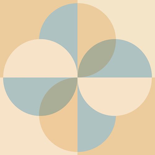 Scandinavische Retro Abstractie