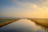 Stiller Sonnenaufgang von Rogier Kwikkers Miniaturansicht