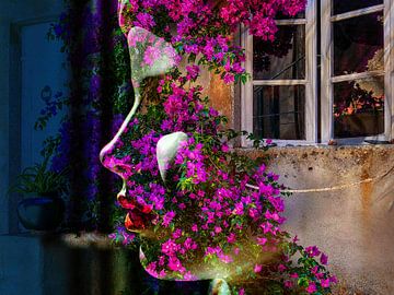 The woman with the bougainvillea