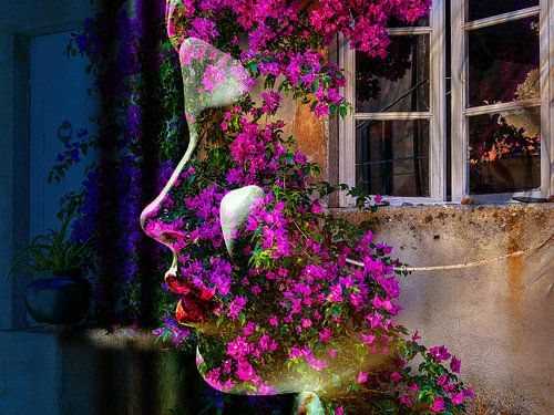 De vrouw met de bougainvillea