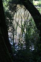 Waterdoorkijkje