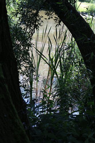 Waterdoorkijkje
