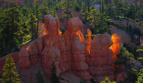 1103 A morning in Bryce