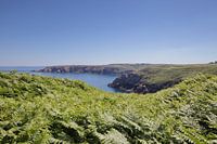 Pointe de Castelmeur, Bretagne