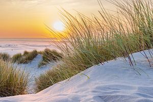 Ein sonniger Abend auf Terschelling