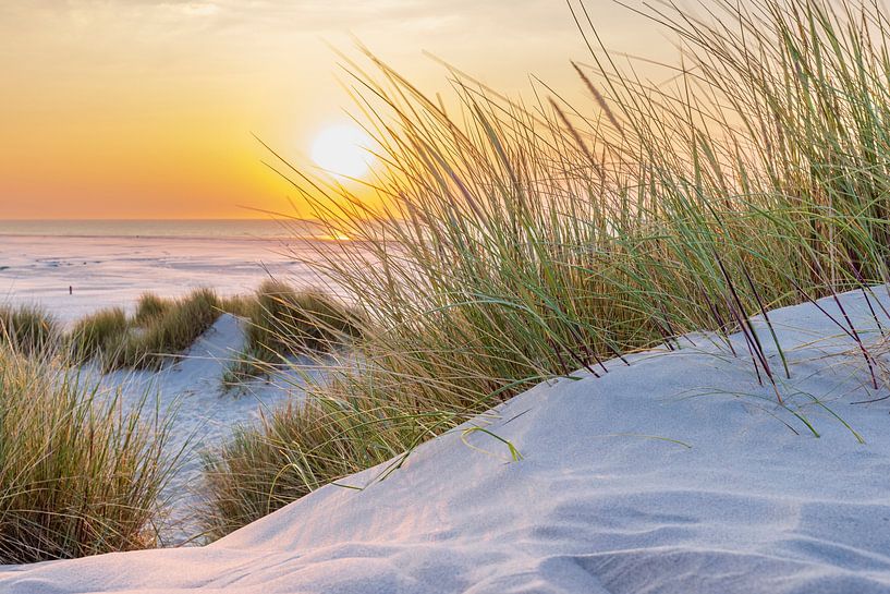 Ein sonniger Abend auf Terschelling von Hilda Weges