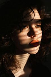 Schaduw: Portret van een vrouw van Poster Art Shop