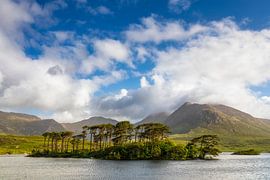 Small tree island in front of the Twelve Pins