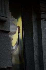 Kleur van Herinneren van Karen Nadine