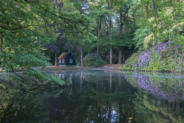 Rododendrons bij het vishuisje bij forellenvijver van Moetwil en van Dijk - Fotografie