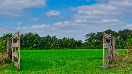 Meadow with open fence