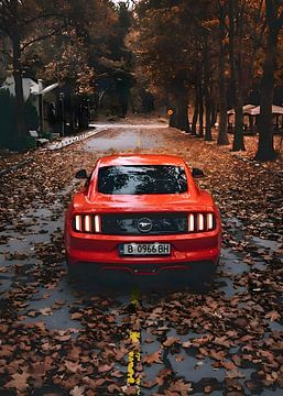 Ford mustang van Leader Fc