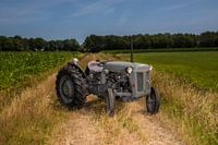 Tracteur Ferguson