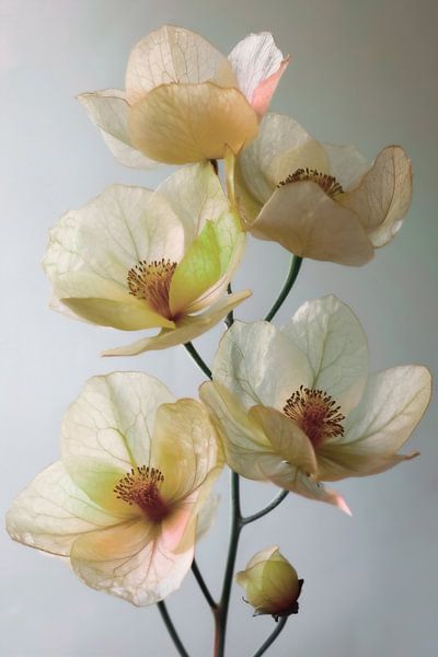 Un souffle de printemps n° 3 par Max Steinwald