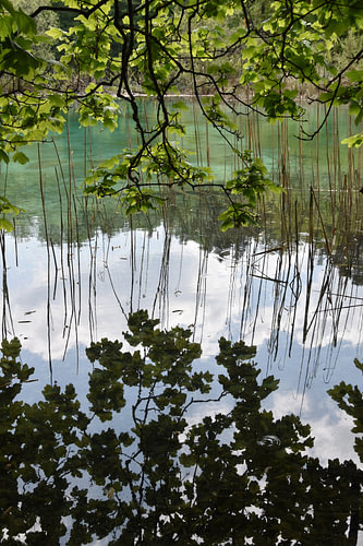 Mirror Lake in Plitvička Jezera