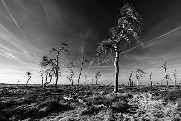 Hoge Venen in zwart-wit - 4 van Edwin van Wijk